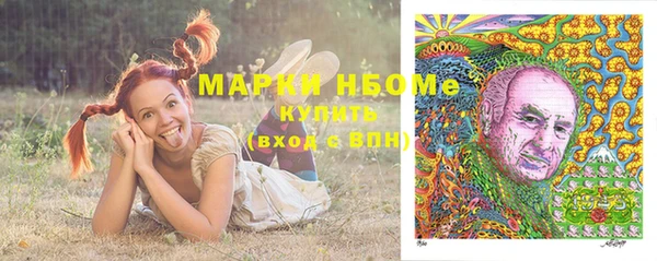 гашик Алексеевка