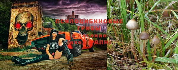 гашик Алексеевка