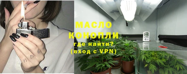 гашик Алексеевка