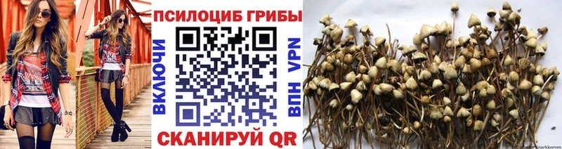 kraken как войти  Апшеронск  Галлюциногенные грибы мухоморы 